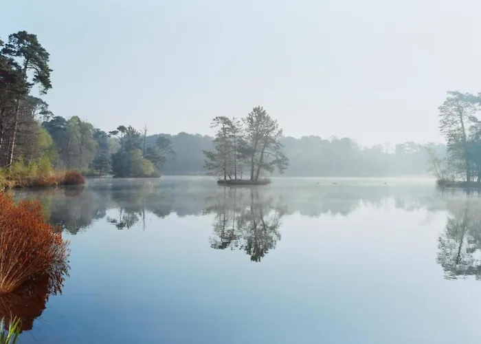 In Near De Efteling Apartment *
